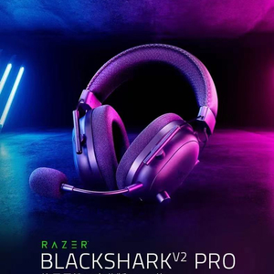 블랙샤크 v2PRO 스네이크 이어폰