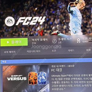 fc24 스팀