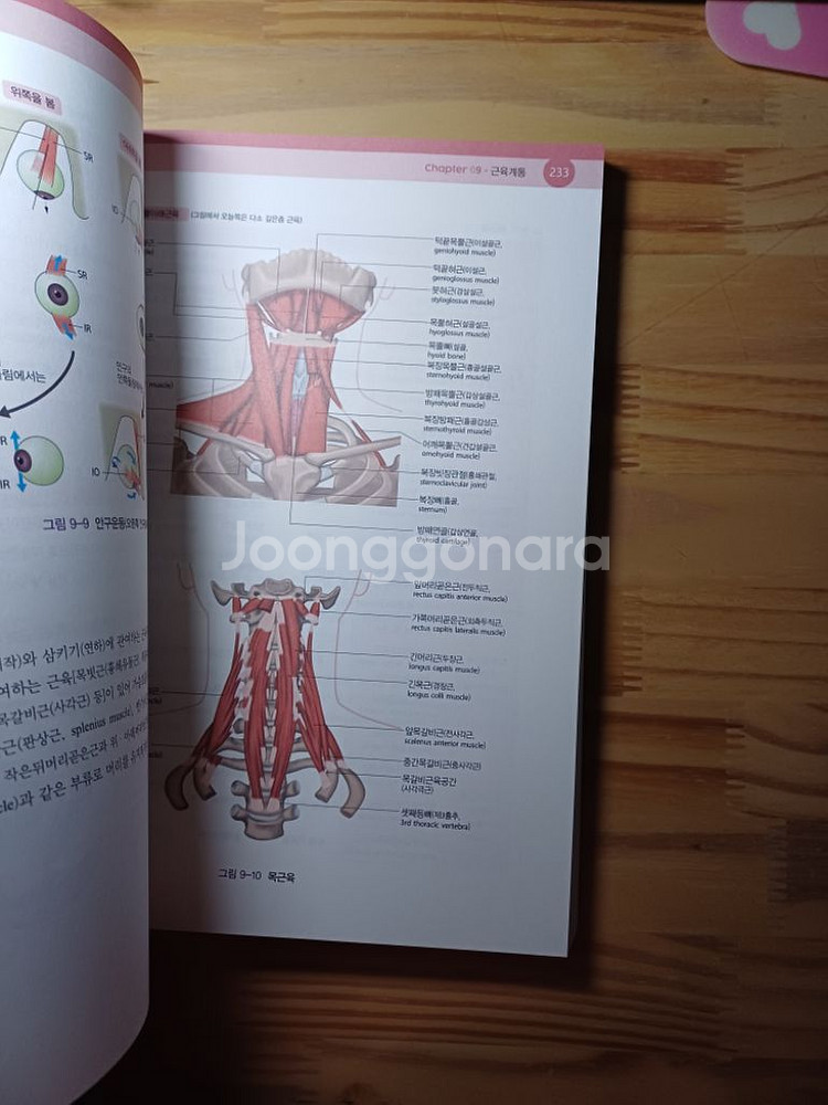 인체구조와기능 세트 의학교육 ((워크북 증정--1