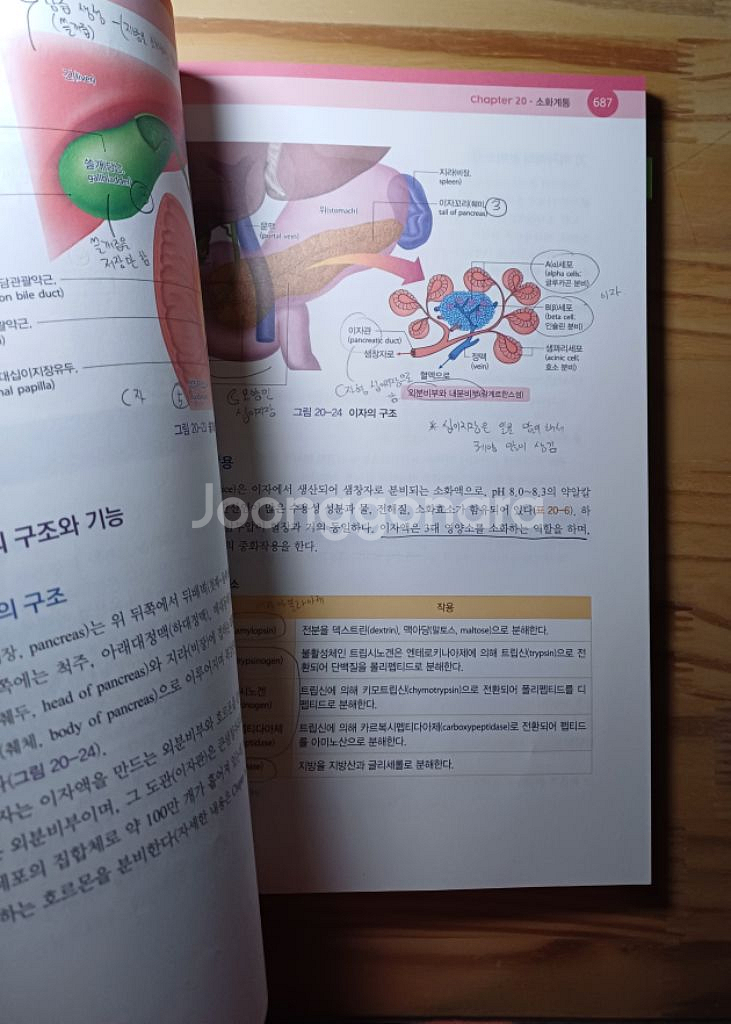 인체구조와기능 세트 의학교육 ((워크북 증정--3