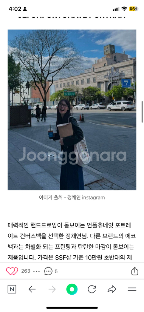 unfortunate portrait 에코백 토트백--1