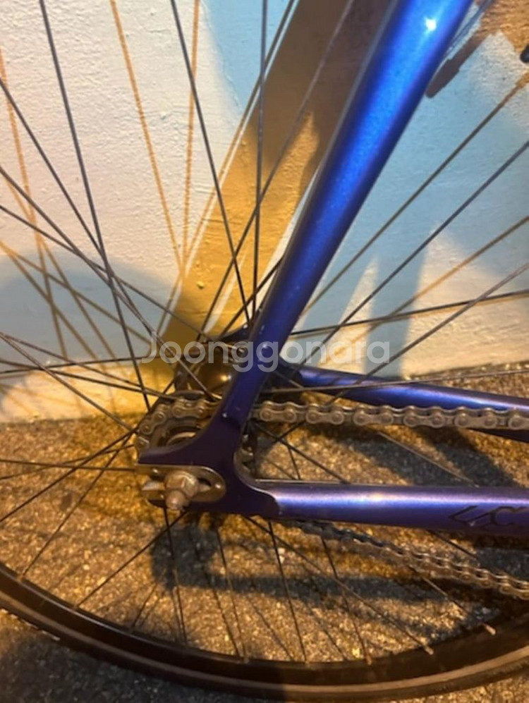 치넬리 2017 매쉬 재도장--5