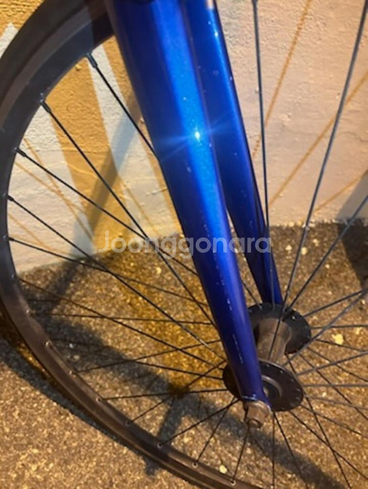 치넬리 2017 매쉬 재도장--2