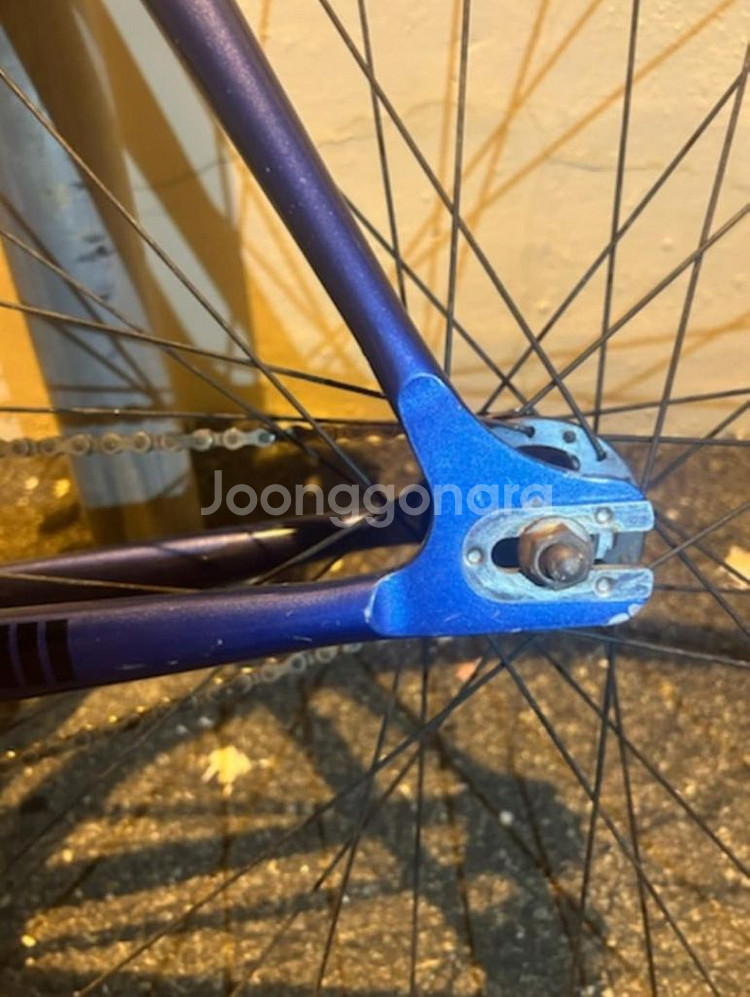 치넬리 2017 매쉬 재도장--4