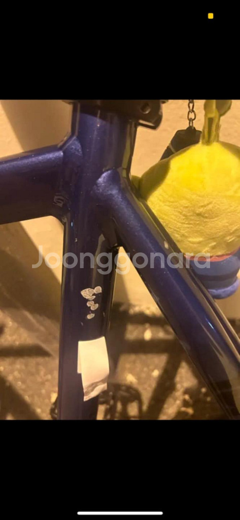 치넬리 2017 매쉬 재도장--6