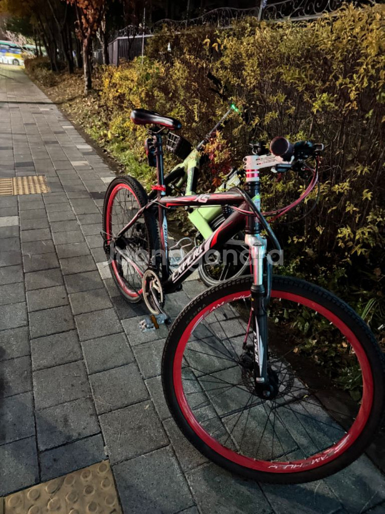 엑스퍼트 X5 26인치--1