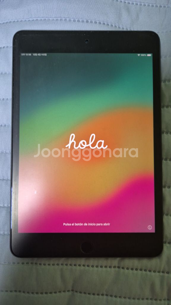 아이패드 미니 5세대 64GB 와이파이 + 애플펜슬--0