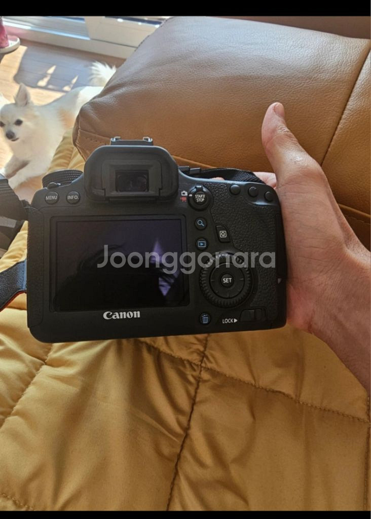 dslr ef24-70+eos 6d--1