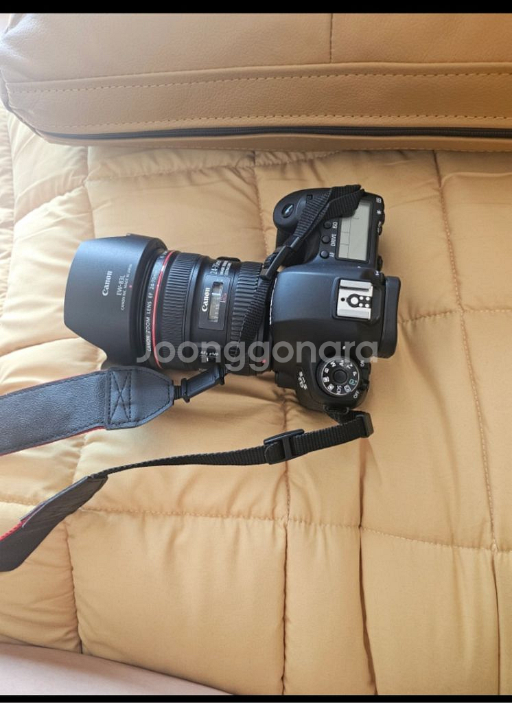 dslr ef24-70+eos 6d--3