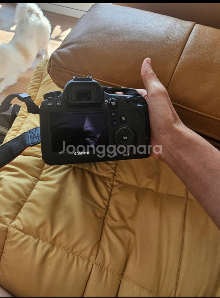 dslr ef24-70+eos 6d--2