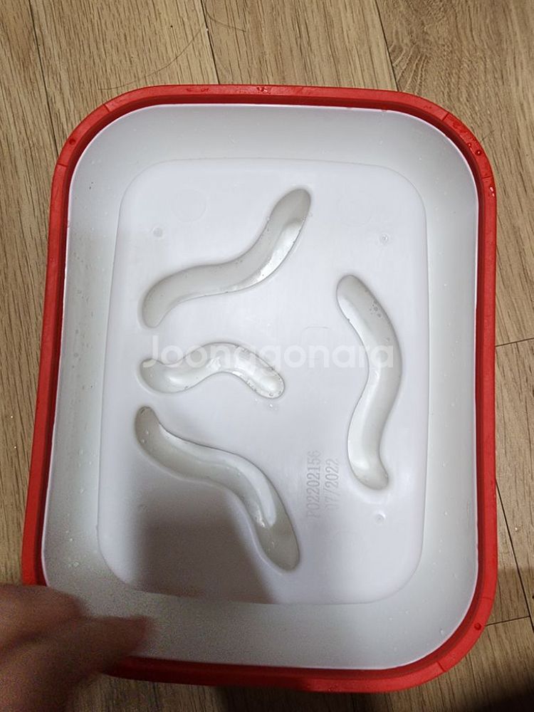 고양이용품 고양이먹이퍼즐--6