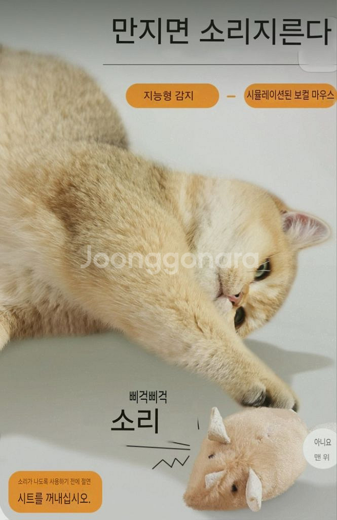 고양이 장난감 세트 일괄--8
