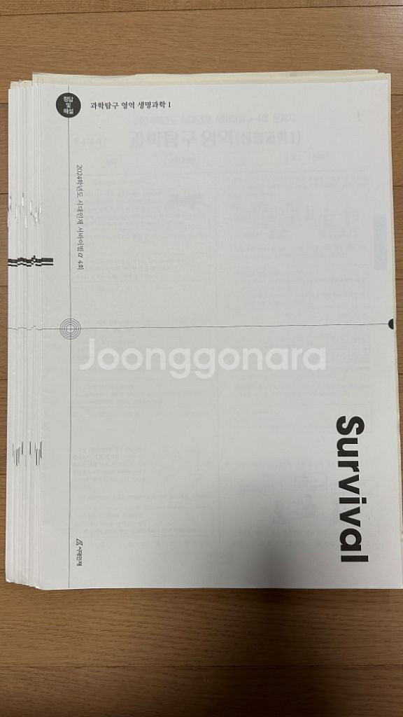 2024 시대인재 생1 서바,브릿지,엑셀--1