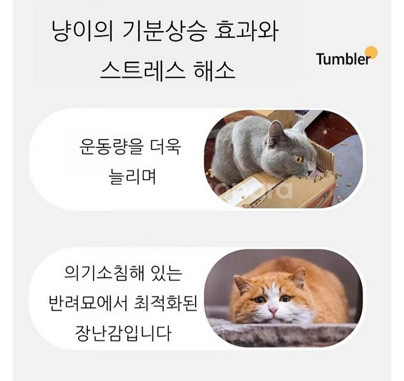 고양이충돌방지깃털쥐잡기스마트볼자동장난감&크리스마스13ㅈ--2