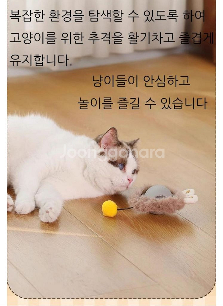 고양이충돌방지깃털쥐잡기스마트볼자동장난감&크리스마스13ㅈ--3