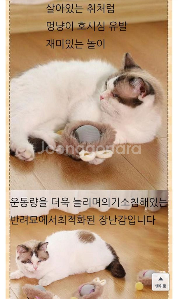 고양이충돌방지깃털쥐잡기스마트볼자동장난감&크리스마스13ㅈ--5