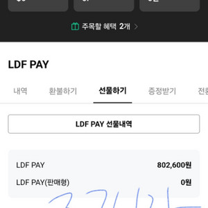 LDF PAY 80만원->76만원