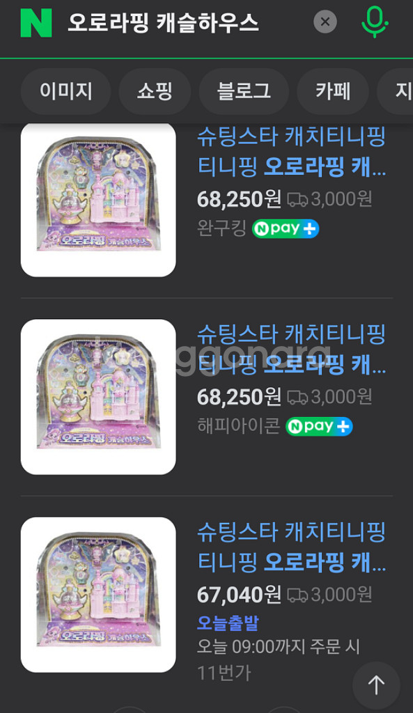 오로라핑 캐슬하우스--1