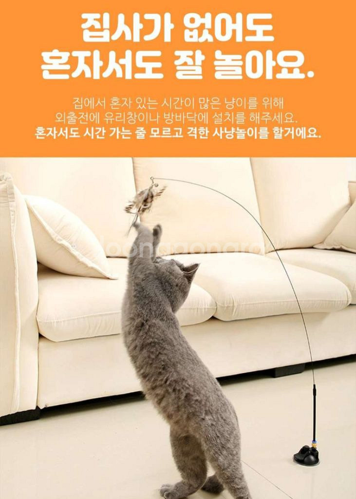 고양이 장난감 세트 일괄 로봇버그 벌레가 잇엉ᆢㄷ--1