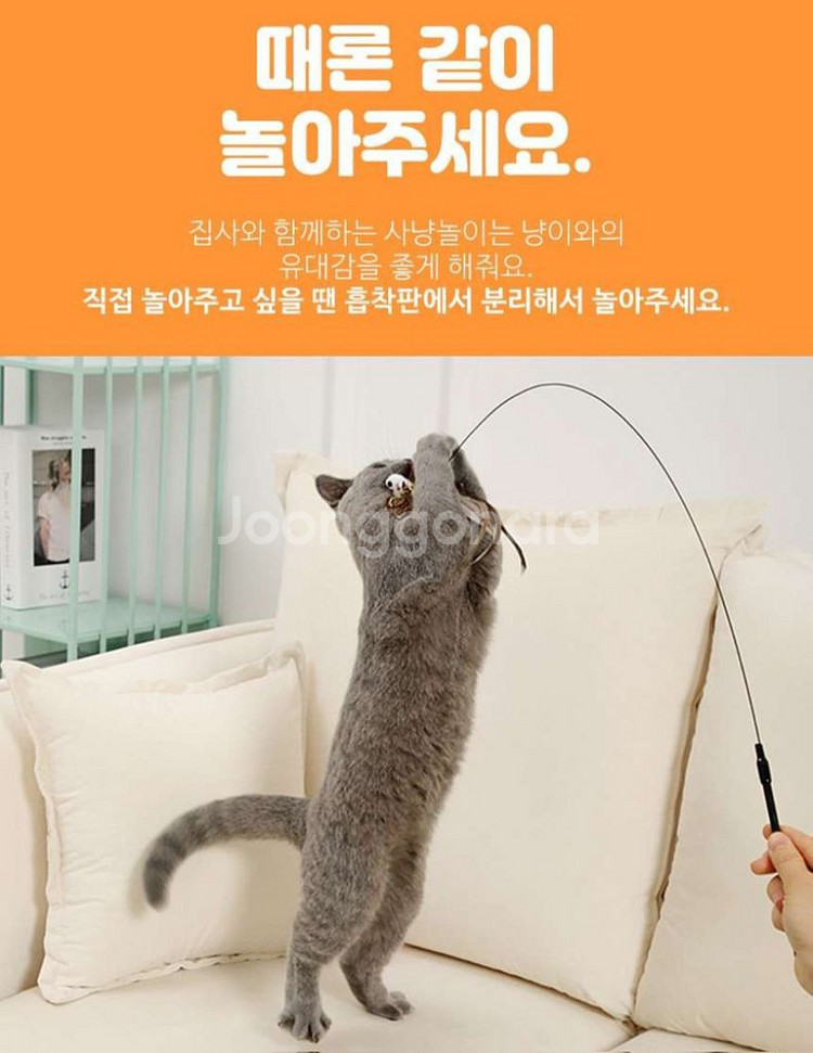 고양이 장난감 세트 일괄 로봇버그 벌레가 잇엉ᆢㄷ--2