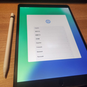 아이패드 에어3 펜슬포함