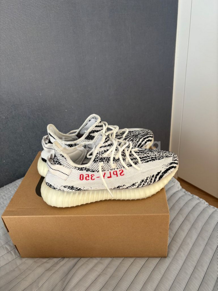 이지부스트 350 v2 지브라--3