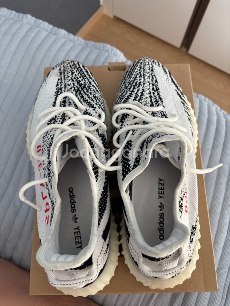 이지부스트 350 v2 지브라--4