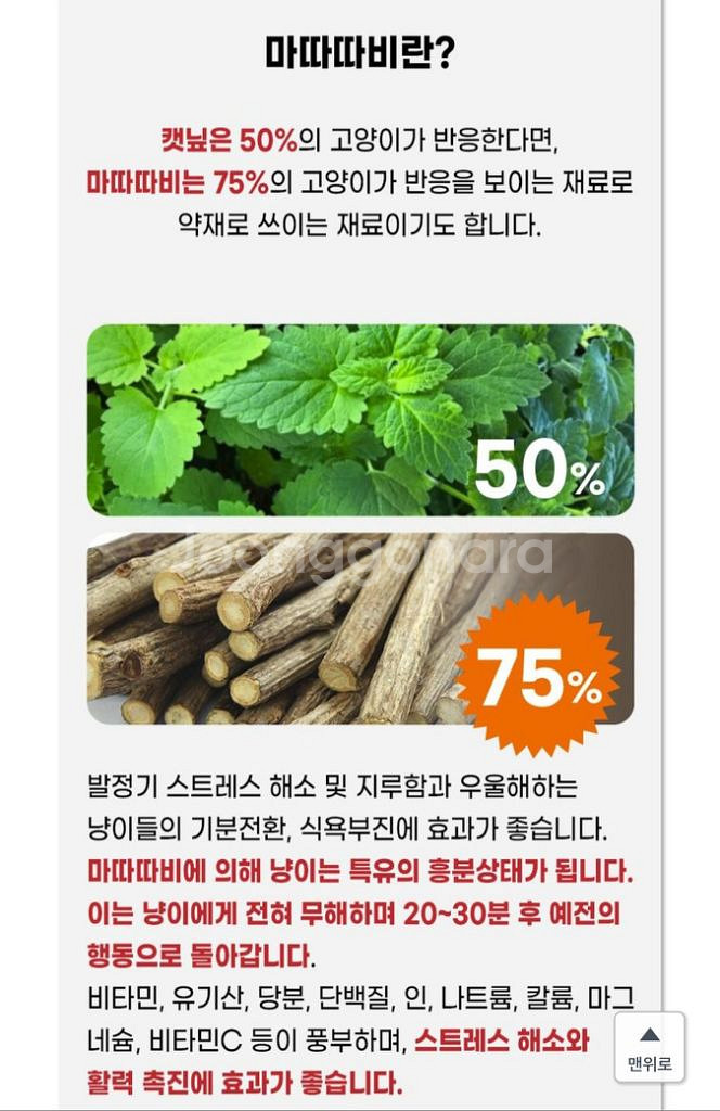 고양이 장난감 세트--8