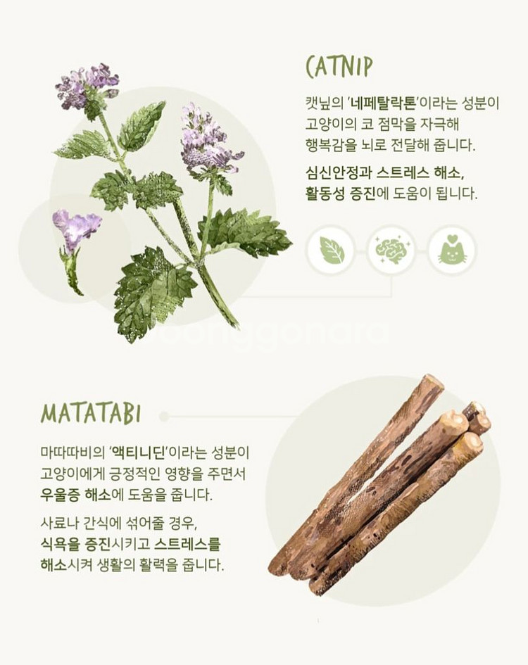 고양이 장난감 일괄--4
