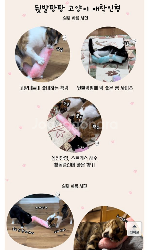 고양이 장난감 일괄--2
