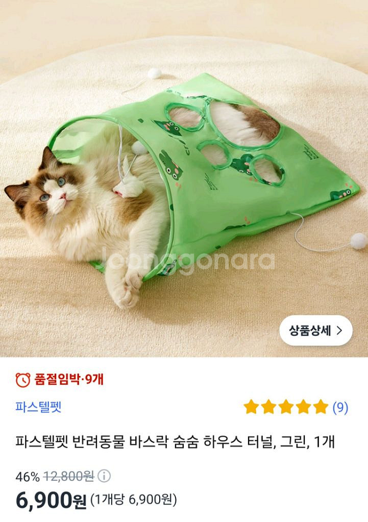 고양이 장난감 일괄--1