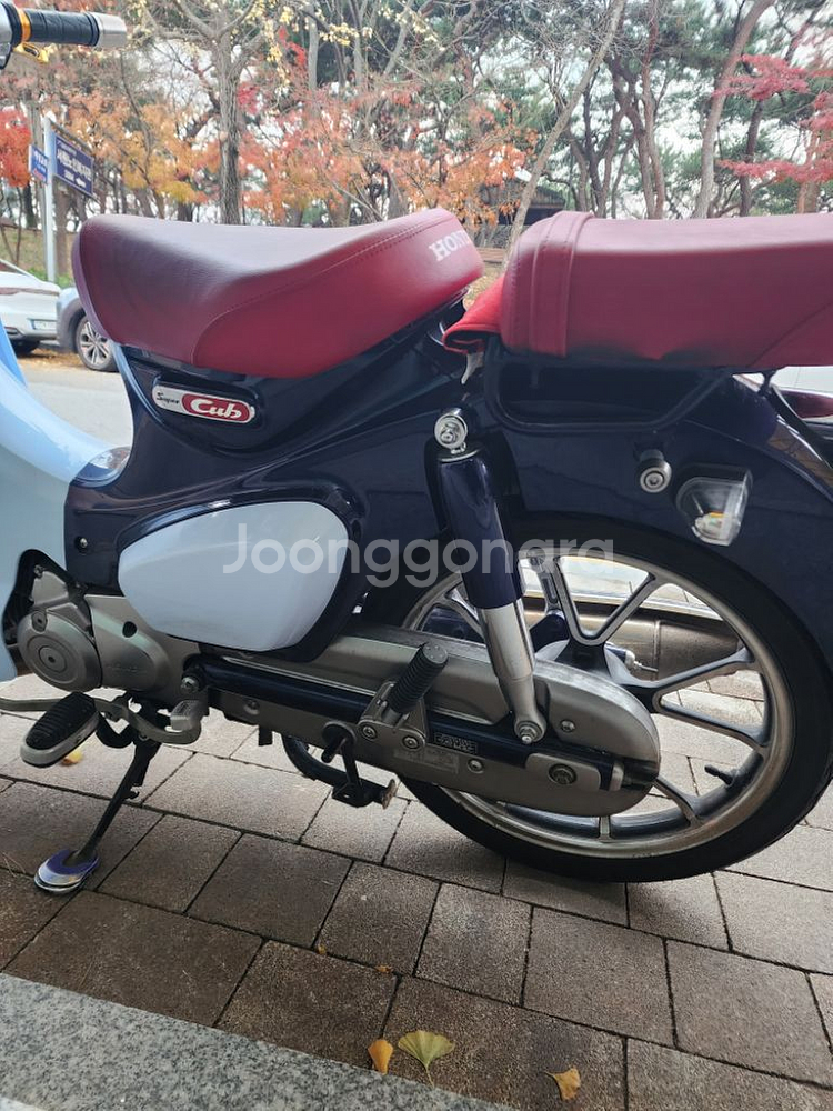혼다 슈퍼커브 c125--1