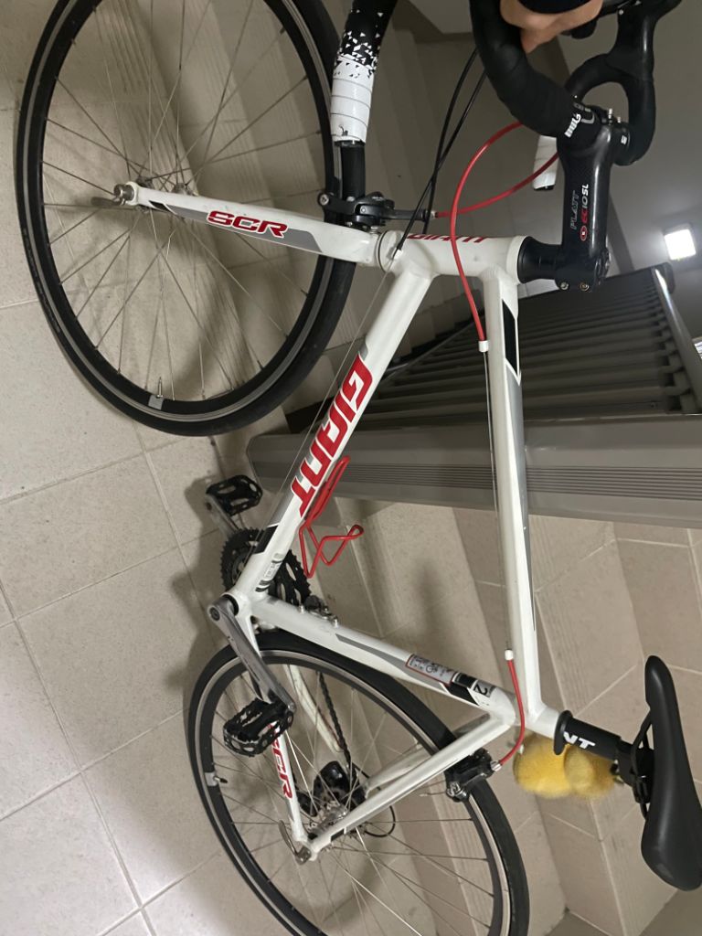 자이언트 scr 로드자전거 픽시대차