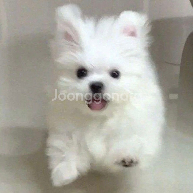 배민 2만원권 17000ㅍㅍ--0