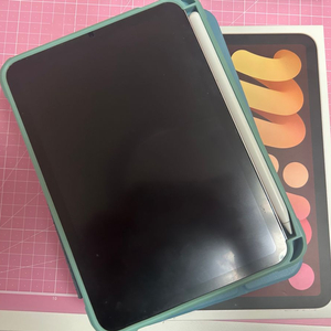 아이패드 미니6 256gb wifi 핑크 애플펜슬2세대