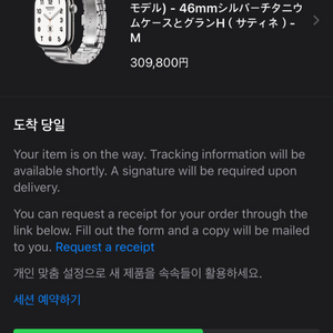 애플워치 10 에르메스 사티네 46mm M사이즈