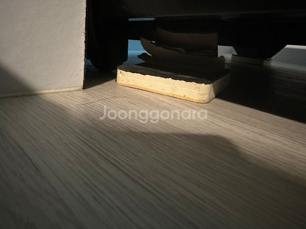 이고진 런닝머신 x3 급하게 내놔요--7