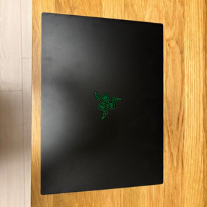 [렘64G추가/실사용2달] 레이저 블레이드14