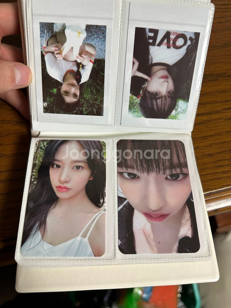 아이브포카 모음집강안지바인더--4
