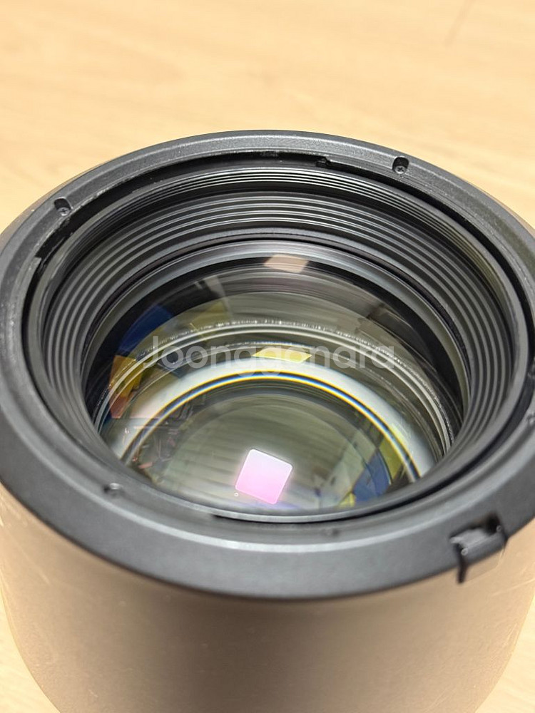 RF85mm F1.2 알만두--4