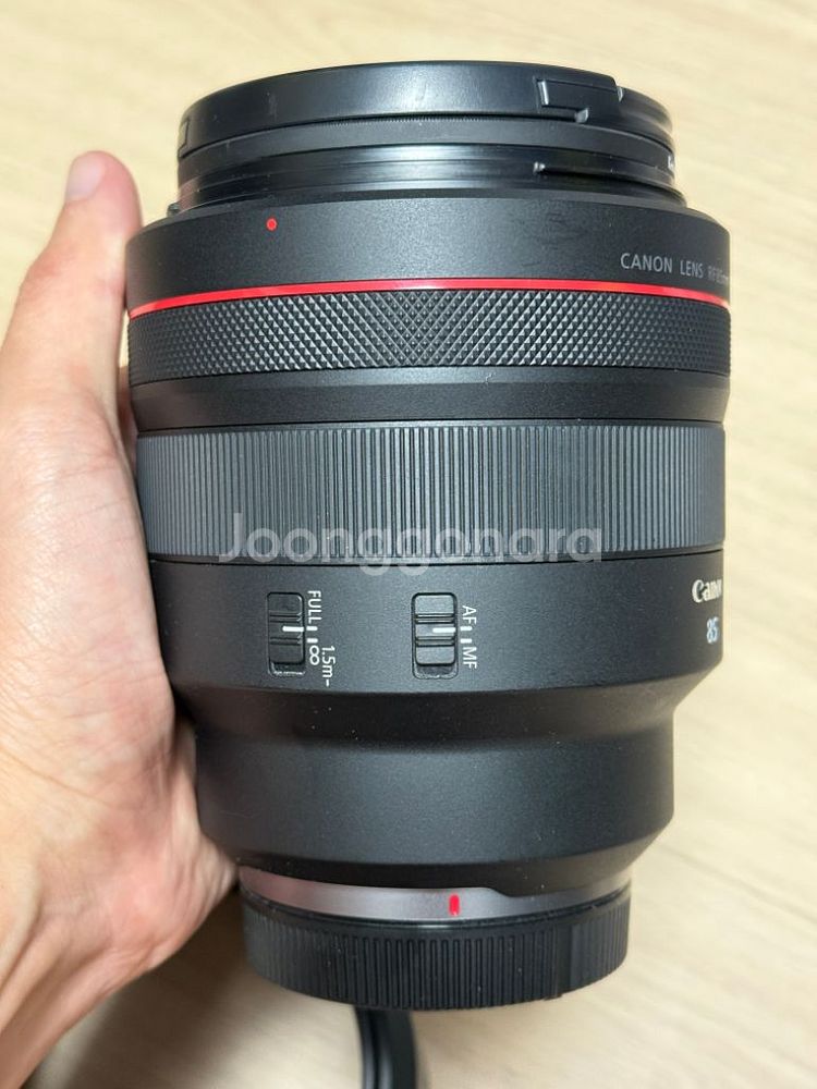 RF85mm F1.2 알만두--6