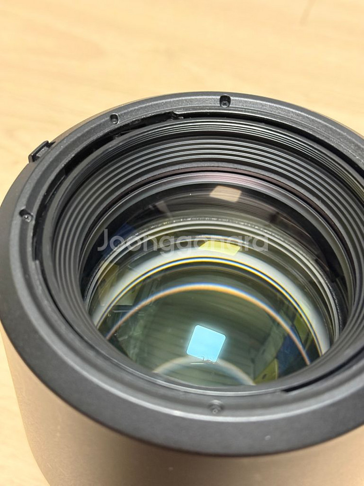RF85mm F1.2 알만두--5