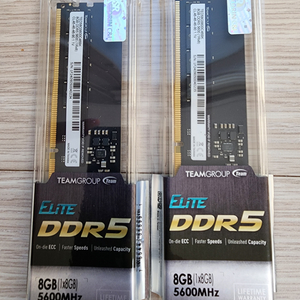 DDR5-5600 CL46 Elite 서린 (8GB 램