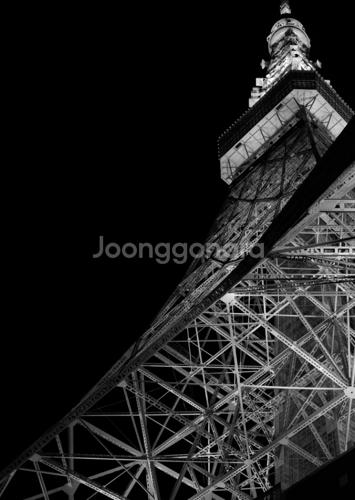 민트급) 소니 Rx1 판매합니다.--7