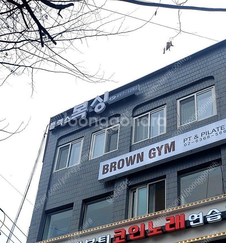 플렉스복싱 성수양도합니다/3개월20일(전지점사용가능/파--1