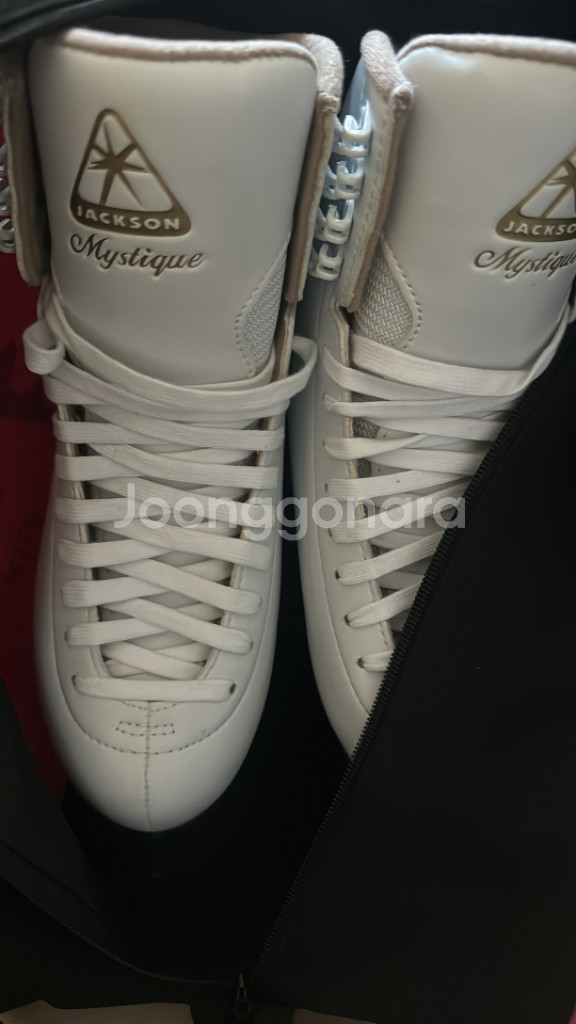 잭슨 피겨화 1490--0