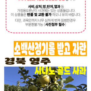 가정용 시나노 골드 2kg/5kg 무료배송