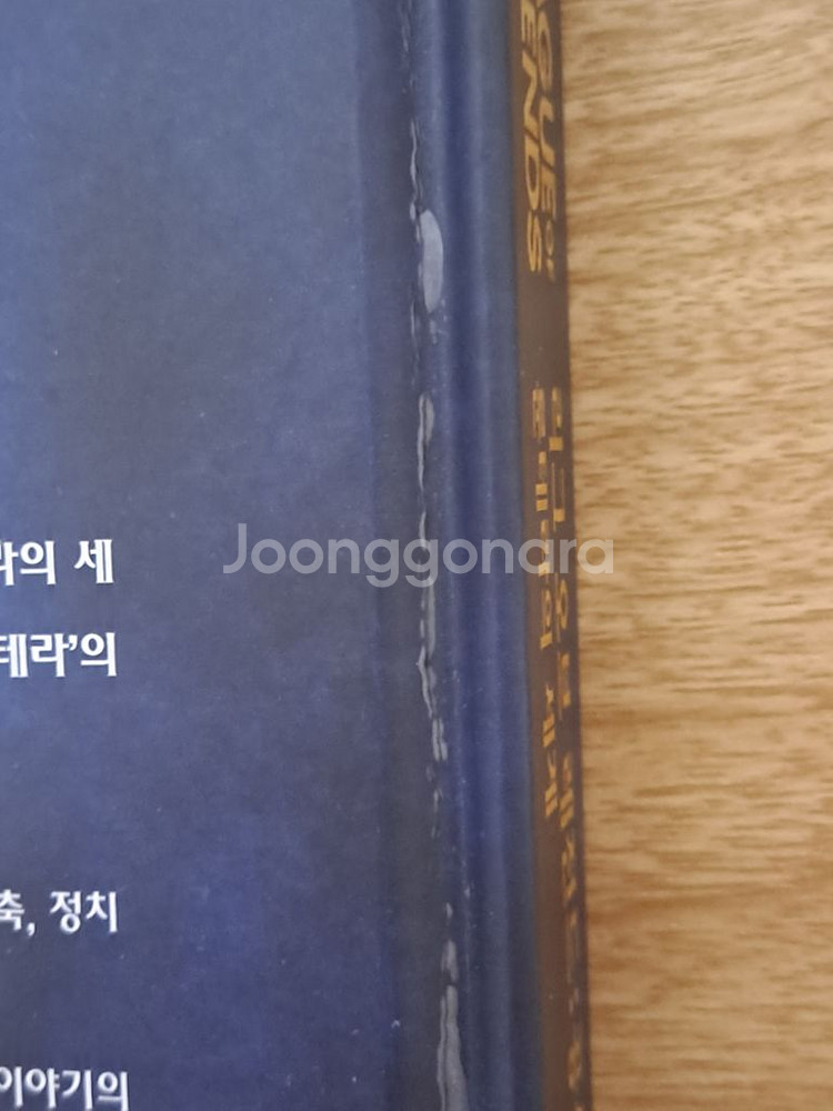 롤 리그 오브 레전드 설정집 룬테라의 세계--4