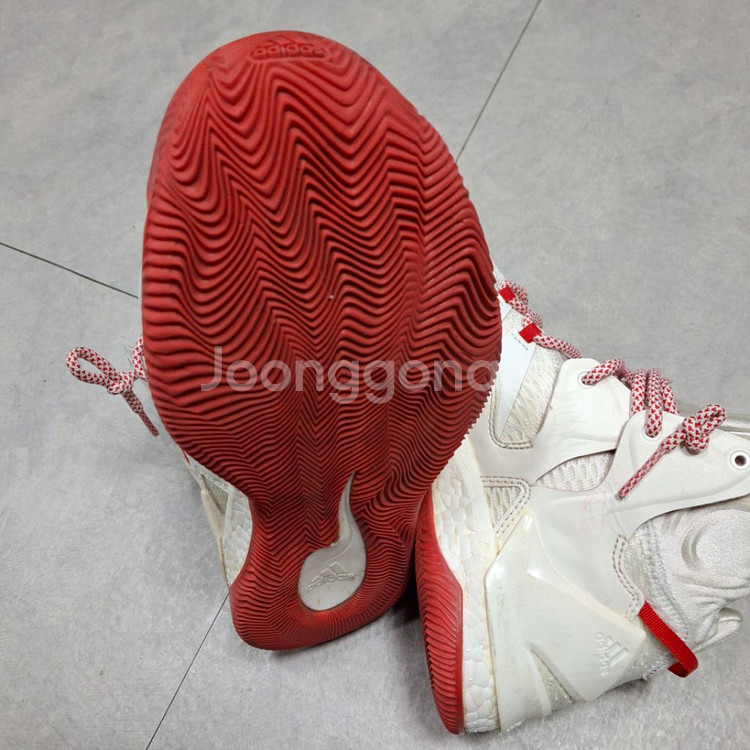 아디다스 D ROSE 부스트 농구화 250--2