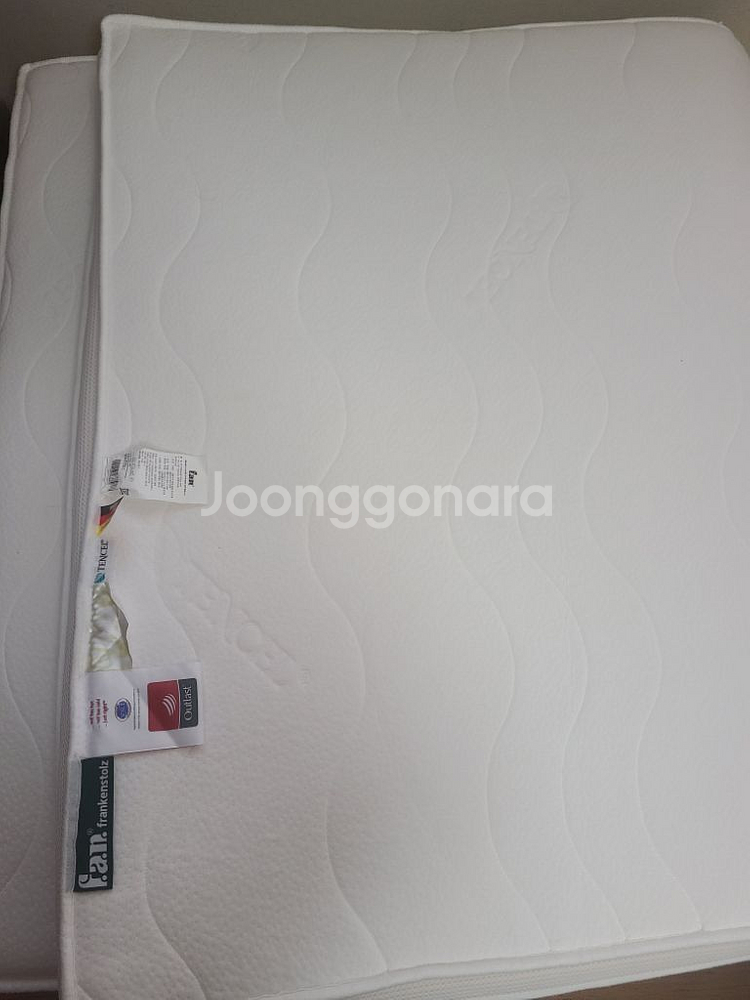 독일 판 아웃라스트 비스코 타퍼--1